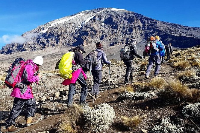 5 Days cheapest Kilimanjaro Marangu Route - Key points to know before you book