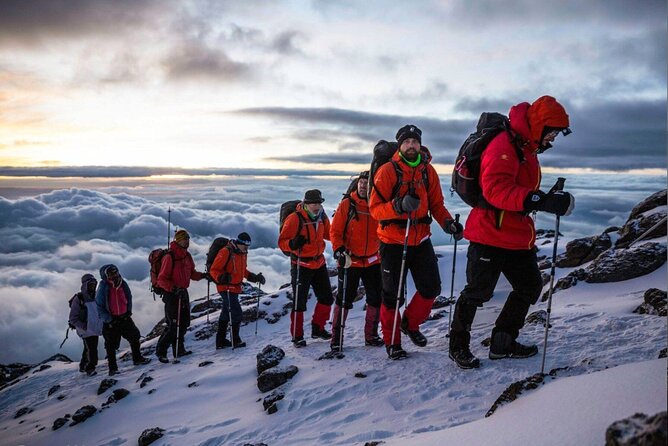 5 Days Classic Kilimanjaro Climb via Marangu route - Day 5: A Long Descent Through Three Mountain Zones