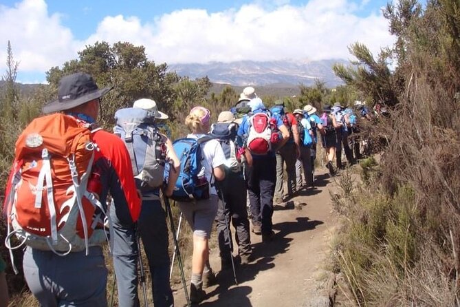 5 Days Classic Kilimanjaro Climb via Marangu route - Day 2: The 12.5-Kilometer Walk to Horombo