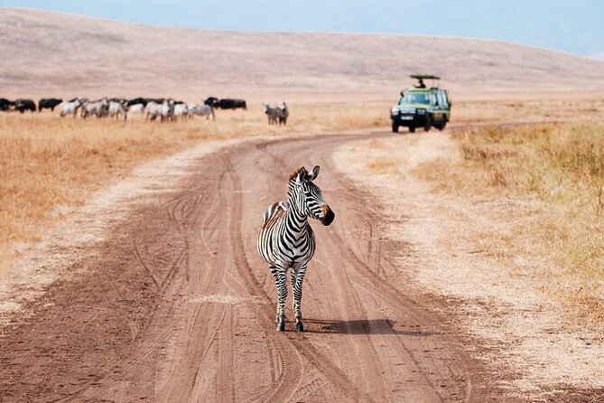 5 Days Exclusive Camping Adventure in Northern Tanzania - Six details worth knowing before you book