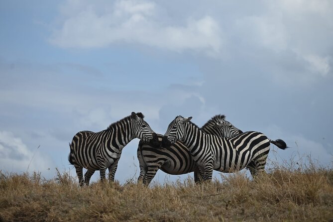 5 Days Group Camping Safari - Serengeti at dawn on day four