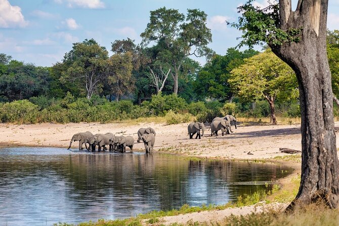 5 Days in the wild & a day hike around Materuni Waterfall. - Leaving the Serengeti for Ngorongoro