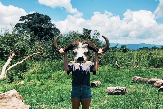 5 Days in the wild & a day hike around Materuni Waterfall. - The 6:15 am descent into Ngorongoro Crater