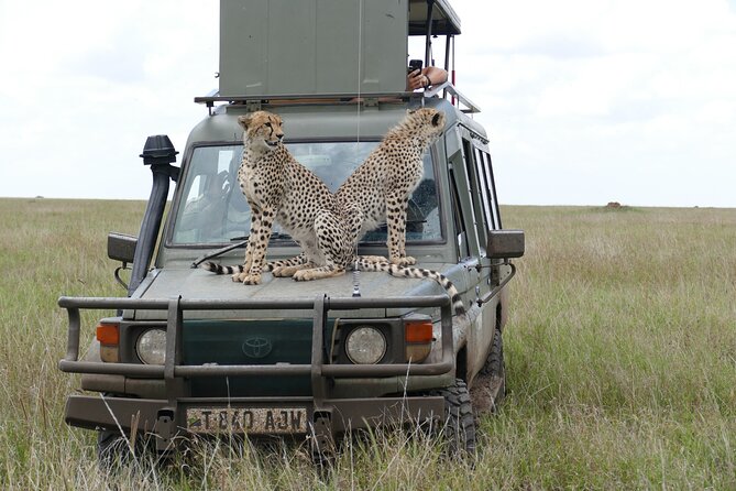 5 Days in to the heart of serengeti - What This Five-Day Safari Is Really Like