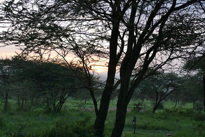 5 Days in to the heart of serengeti - Day 4: From Serengeti Toward Ngorongoro