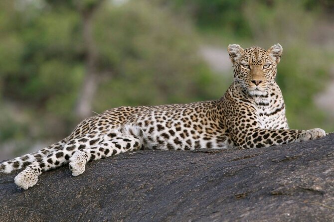 5 Days: Lake Manyara / Serengeti / Ngorongoro - Why this route works so well in five days