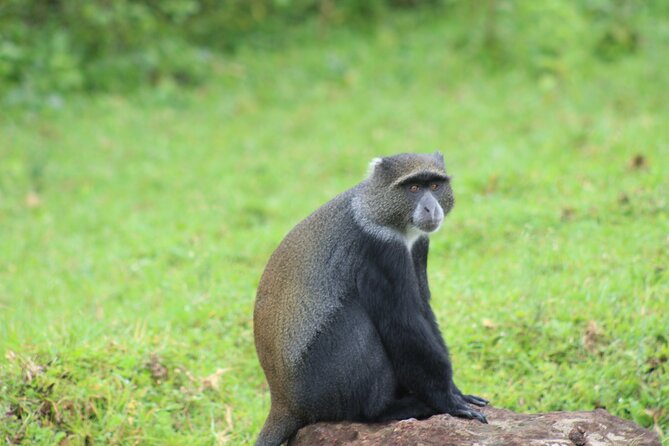 5 Days: Lake Manyara / Serengeti / Ngorongoro - Day 4: Olduvai Gorge and the Ngorongoro Crater