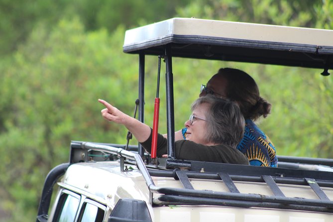 5 Days: Lake Manyara / Serengeti / Ngorongoro - Day 5: Returning to Arusha