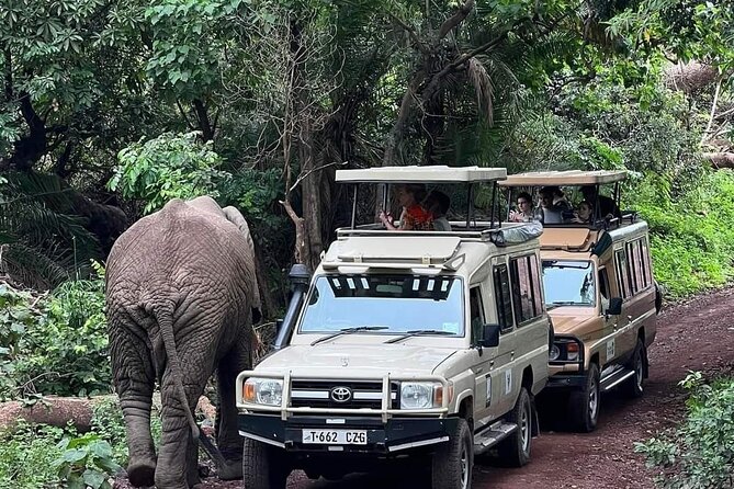 5-Days Lake Manyara, Serengeti, Ngorongoro Crater and Tarangire - Day 2: From Karatu highlands into central Serengeti