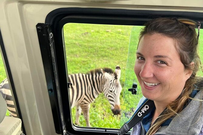 5-Days Lake Manyara, Serengeti, Ngorongoro Crater and Tarangire - Day 4: Ngorongoro Crater and the long climb out