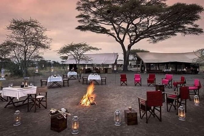 5 Days: Lake Manyara / Serengeti / Ngorongoro - Day 2: The long road from Manyara to central Serengeti
