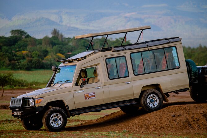 5 days Living Among Lions with Kojuu Safaris - Mid range Lodge - The safari in six useful points
