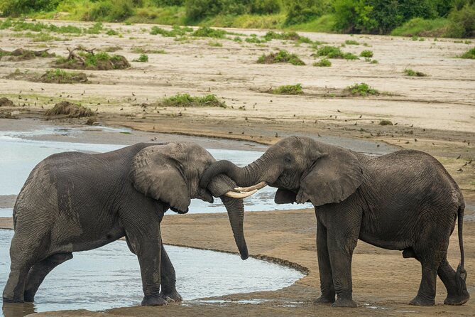 5 Days Lodge Luxury: A Taste of Tanzania Safari - Lodges, meals, and what the price covers