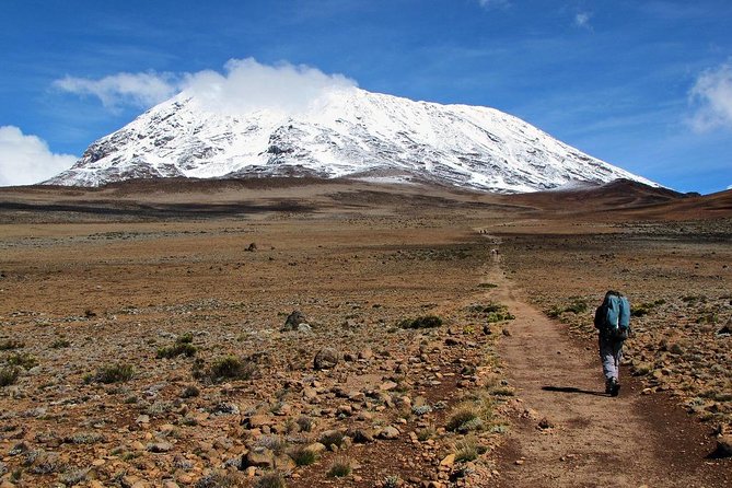5 Days Marangu Route Kilimanjaro Trekking - Key points to know before booking