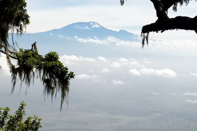 5 Days Marangu Route Kilimanjaro Trekking - Day 5: A wet forest descent to Marangu Gate
