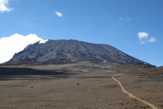 5 Days Marangu Route Kilimanjaro Trekking - Day 2: Moorland views from Mandara to Horombo
