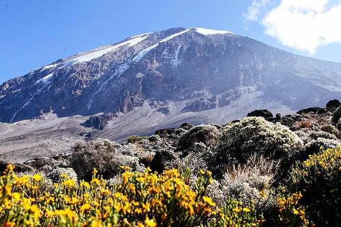5 Days Marangu Route - Mount Kilimanjaro Trek - What the $1,500 price represents