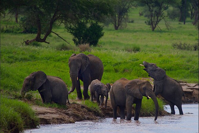5 Days Northern Tanzania Safari- Lodging - What this five-day safari is really offering