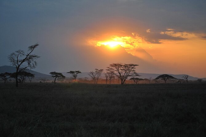 5 Days Northern Tanzania Safari- Lodging - Day 4: Ngorongoro and the crater floor