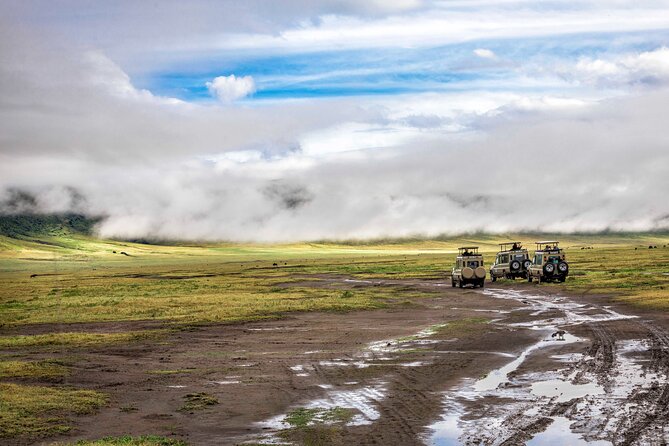 5 Days Private Budget Lodge Safari to Serengeti & Ngorongoro - Day One: Tarangire’s Elephants And The River