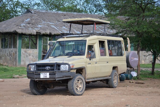 5 Days Private Budget Lodge Safari to Serengeti & Ngorongoro - How Good Is The $2,403.79 Value?