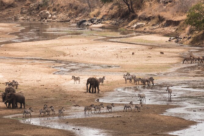 5-Days Private Midrange Safari: Serengeti, Ngorongoro & Manyara - Day 5: Lake Manyara and the trip back to Arusha