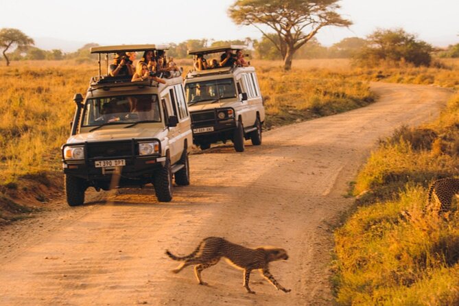 5-Days Private Midrange Safari: Serengeti, Ngorongoro & Manyara - Lodges, food, and the human side of the trip