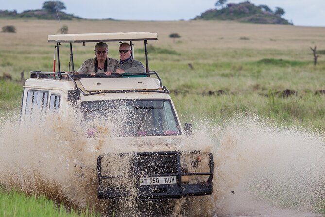 5-Days Private Midrange Safari: Serengeti, Ngorongoro & Manyara - Day 1: Tarangire and the land of elephants