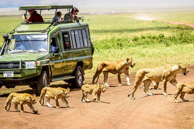 5 Days Private Safari- Tarangire, Serengeti, Ngorongoro & Manyara - The route works because every park feels different