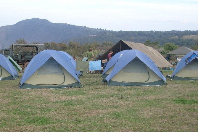 5 Days Private Safari- Tarangire, Serengeti, Ngorongoro & Manyara - Day 3: One more Serengeti morning, then the crater rim