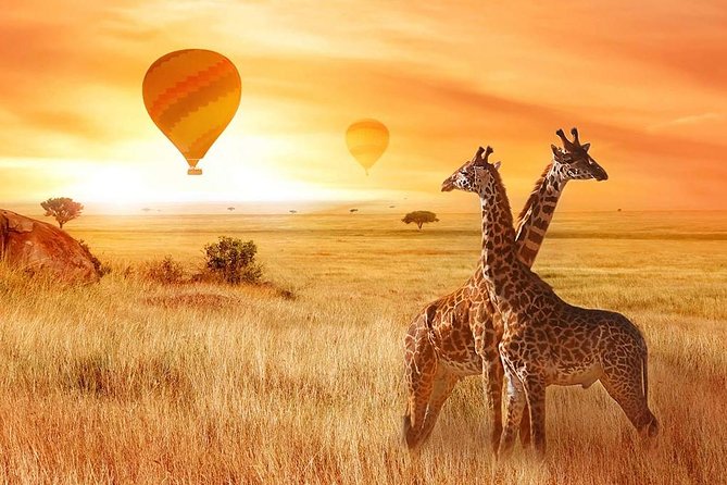 5 Days Private Safari- Tarangire, Serengeti, Ngorongoro & Manyara - Day 1: Tarangire brings elephants and baobabs
