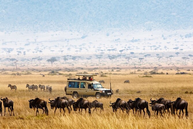 5-Days Private Safari Tour in Trangire, Serengeti, and Ngorongoro Crater - Key points to know before booking