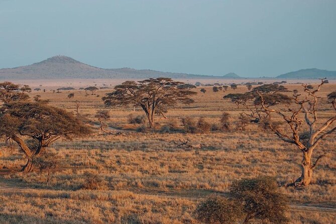 5-Days Private Safari Tour in Trangire, Serengeti, and Ngorongoro Crater - Three famous parks in five demanding days