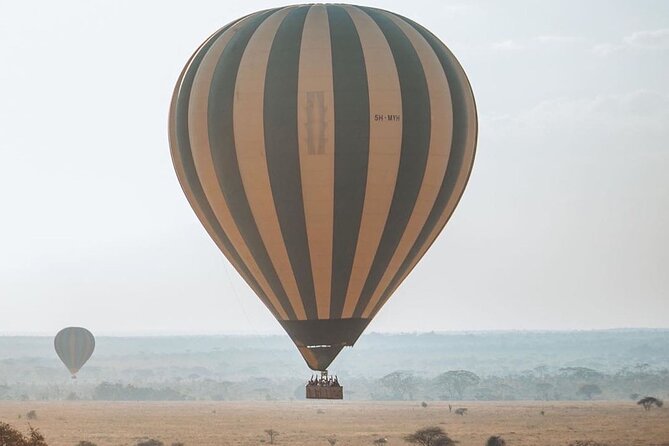 5-Days Private Safari Tour in Trangire, Serengeti, and Ngorongoro Crater - Day 4: Early predators and Ngorongoro Crater