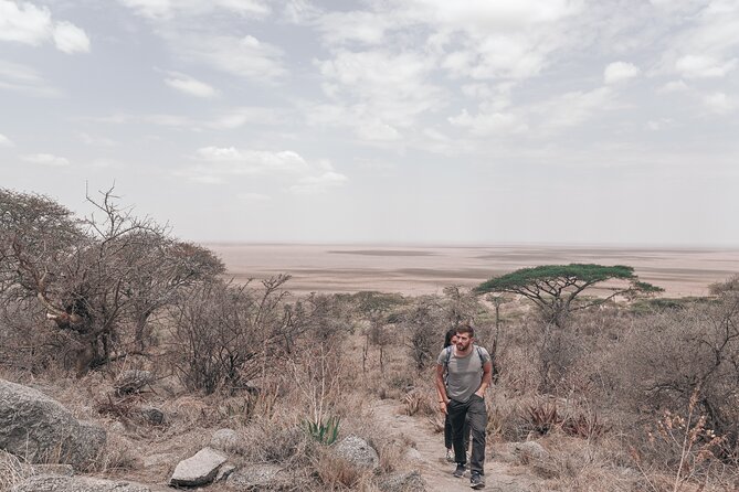 5-Days Private Safari Tour in Trangire, Serengeti, and Ngorongoro Crater - Day 1: Tarangire begins with elephant country