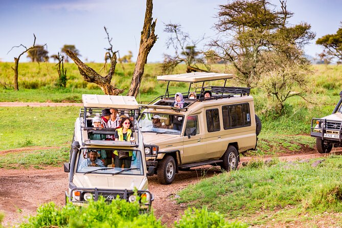 5 Days Private Safari Tour & Maasai village Visit Tanzania - Key points at a glance