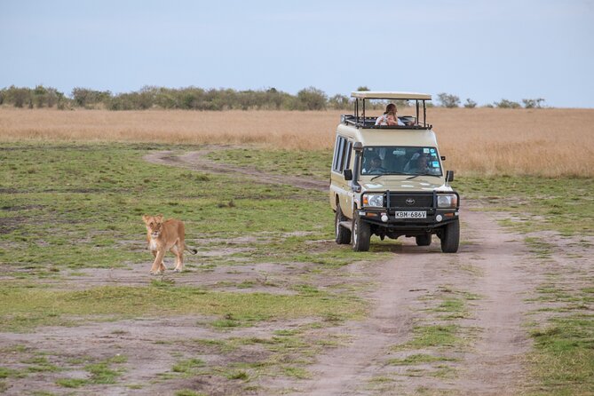 5 Days Private Safari Tour & Maasai village Visit Tanzania - What this five-day safari is really offering