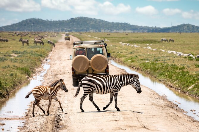 5 Days Private Safari Tour & Maasai village Visit Tanzania - Day 3: The long approach to Serengeti and Seronera