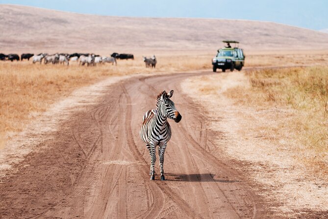 5 Days Private Safari Tour & Maasai village Visit Tanzania - Day 5: Sunrise and the Ngorongoro Crater