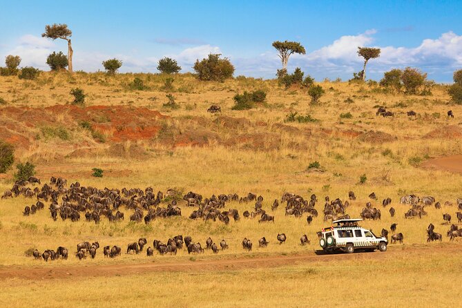 5 Days Private Safari Tour & Maasai village Visit Tanzania - Guides, vehicles, and the value of private travel