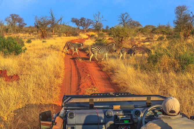 5 Days Private Safari Tour & Maasai village Visit Tanzania - Day 1: Lake Manyara’s forest, lake, and Rift Valley views