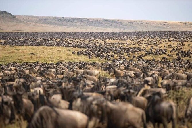 5 Days Safari Adventure in Tanzania - Day 2: Lake Manyara before the long road to Serengeti