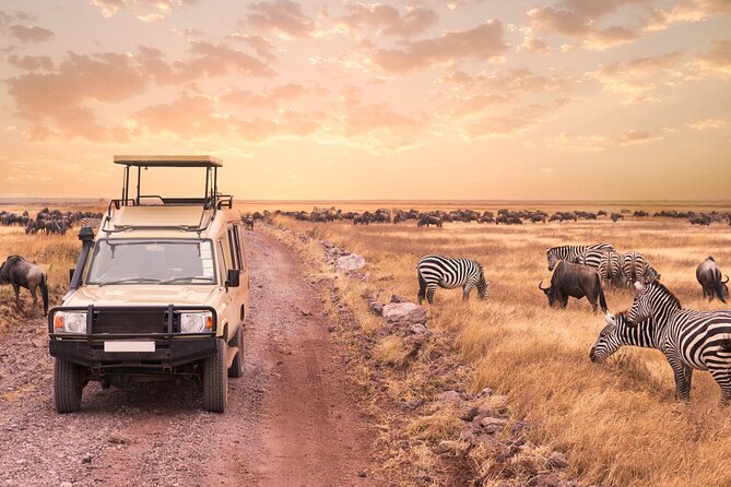 5 days safari, hiking & culture (Serengeti & kilimanjaro) - Day Two: Ngorongoro Views, Maasai Culture, and the Serengeti