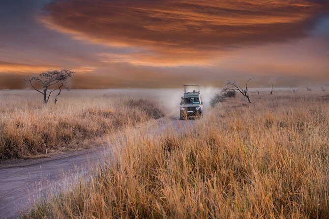5 days safari, hiking & culture (Serengeti & kilimanjaro) - Food, Camping, and Daily Comfort