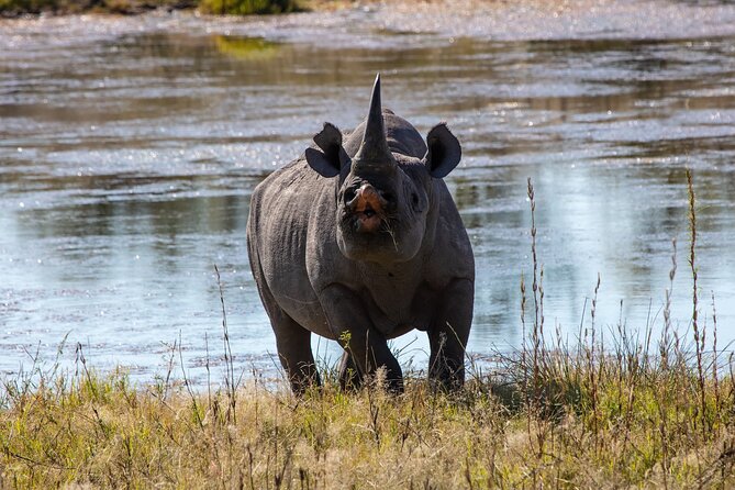 5 Days Safari Northern Circuit of Tanzania - Comfort, food, and the cost of the trip