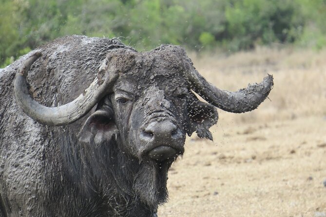 5 Days Safari Northern Circuit of Tanzania - Day 1 in Arusha: an easy landing night