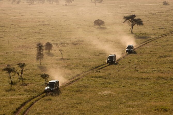 5 Days Safari Tarangire, Serengeti, and Ngorongoro Crater - Day 2: Baobabs and elephants in Tarangire