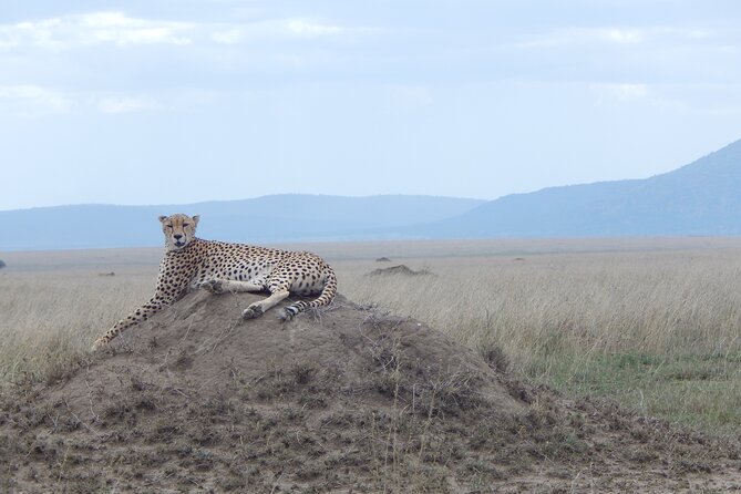 5 Days Safari to Serengeti, Ngorongoro, Tarangire from Arusha - Early morning inside Ngorongoro Crater