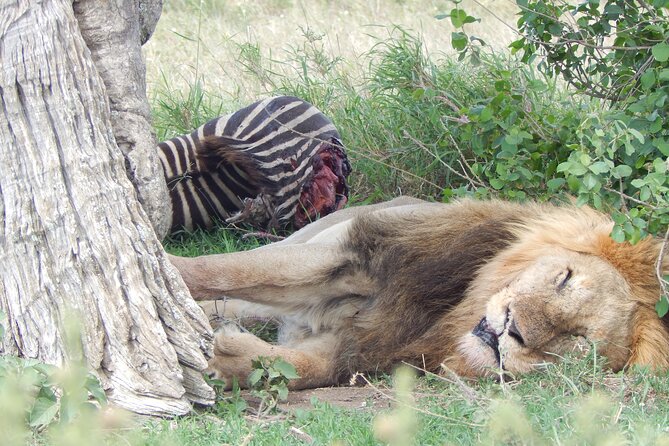 5 Days Safari to Serengeti, Ngorongoro, Tarangire from Arusha - Maasai culture and optional changes