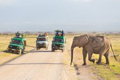 5 Days Serengeti Camping Safari